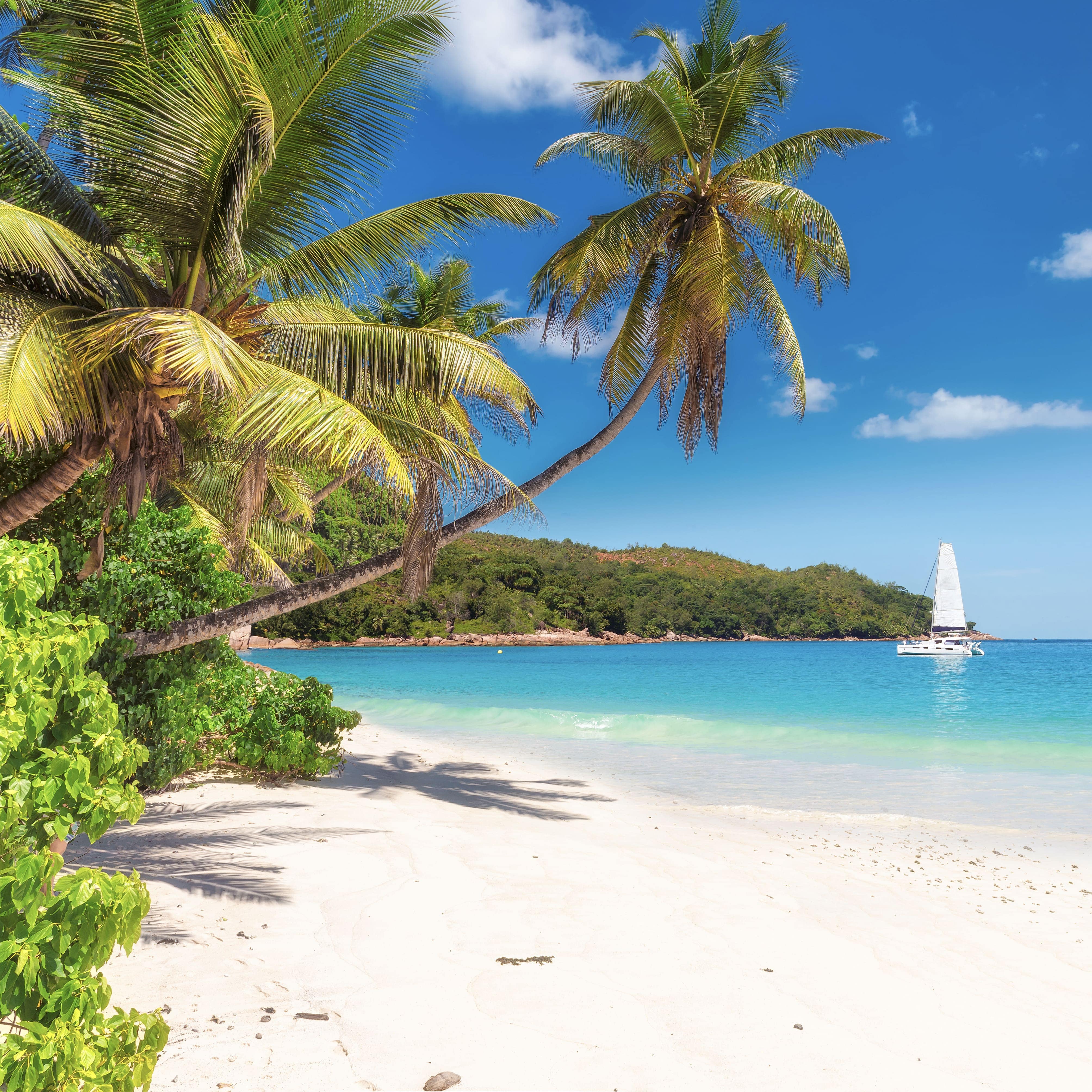 Caribbean Yacht Charter Grenada NSS Charter